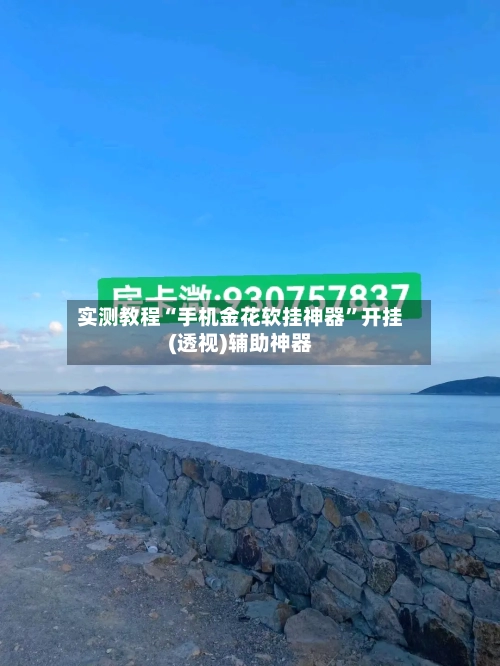 实测教程“手机金花软挂神器”开挂(透视)辅助神器-第2张图片