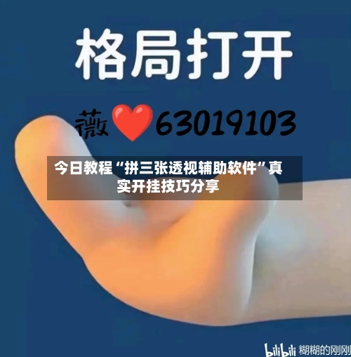 今日教程“拼三张透视辅助软件	”真实开挂技巧分享-第2张图片