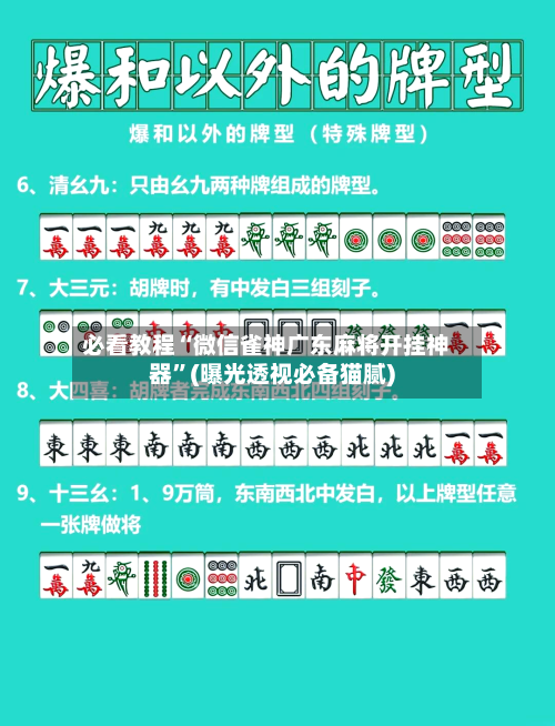 必看教程“微信雀神广东麻将开挂神器”(曝光透视必备猫腻)-第3张图片