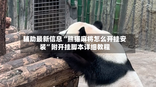 辅助最新信息“熊猫麻将怎么开挂安装”附开挂脚本详细教程-第2张图片