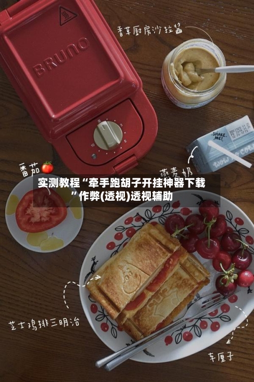 实测教程“牵手跑胡子开挂神器下载”作弊(透视)透视辅助-第3张图片