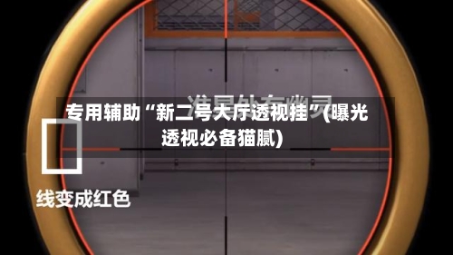 专用辅助“新二号大厅透视挂”(曝光透视必备猫腻)-第2张图片