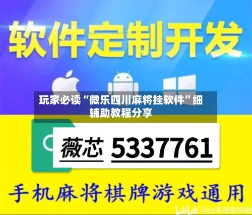 玩家必读“微乐四川麻将挂软件”细辅助教程分享