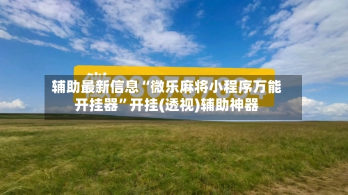 辅助最新信息“微乐麻将小程序万能开挂器”开挂(透视)辅助神器-第2张图片