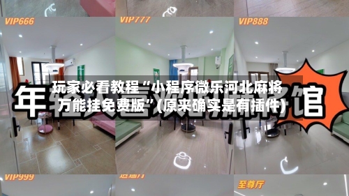 玩家必看教程“小程序微乐河北麻将万能挂免费版	”(原来确实是有插件)-第2张图片