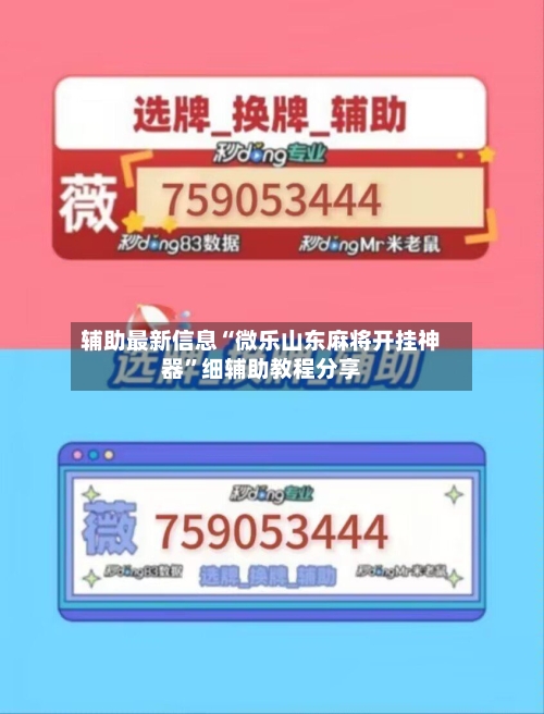 辅助最新信息“微乐山东麻将开挂神器”细辅助教程分享-第2张图片