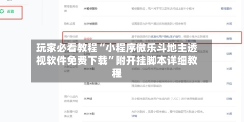 玩家必看教程“小程序微乐斗地主透视软件免费下载”附开挂脚本详细教程-第2张图片