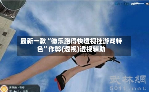 最新一款“微乐跑得快透视挂游戏特色”作弊(透视)透视辅助-第2张图片