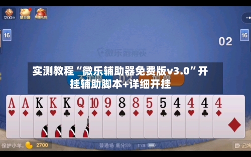 实测教程“微乐辅助器免费版v3.0	”开挂辅助脚本+详细开挂-第3张图片