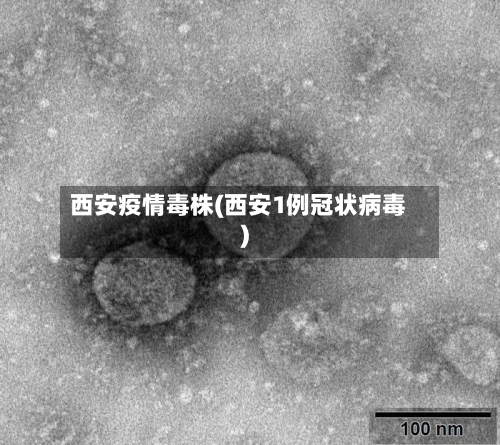 西安疫情毒株(西安1例冠状病毒)