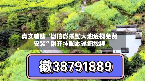 真实辅助“微信微乐锄大地透视免费安装”附开挂脚本详细教程-第2张图片