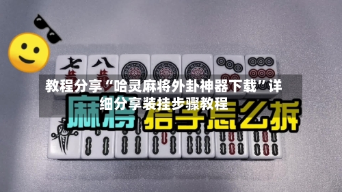 教程分享“哈灵麻将外卦神器下载	”详细分享装挂步骤教程-第2张图片