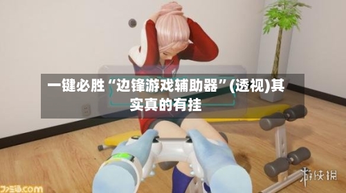 一键必胜“边锋游戏辅助器”(透视)其实真的有挂-第2张图片