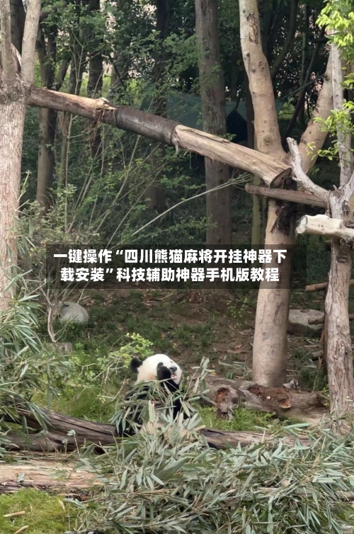 一键操作“四川熊猫麻将开挂神器下载安装	”科技辅助神器手机版教程-第2张图片