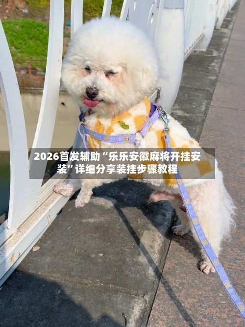 2026首发辅助“乐乐安徽麻将开挂安装”详细分享装挂步骤教程-第3张图片