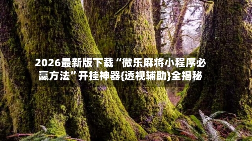 2026最新版下载“微乐麻将小程序必赢方法”开挂神器{透视辅助}全揭秘-第2张图片