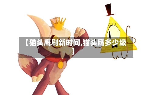 【猫头鹰刷新时间,猫头鹰多少级】-第3张图片