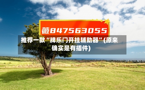 推荐一款“牌乐门开挂辅助器”(原来确实是有插件)-第3张图片