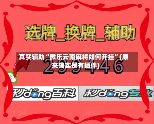 真实辅助“微乐云南麻将如何开挂”(原来确实是有插件)-第2张图片