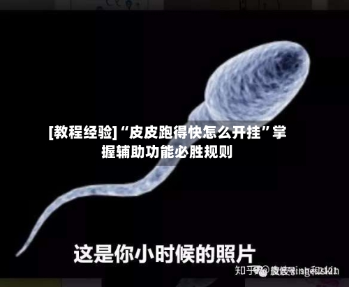 [教程经验]“皮皮跑得快怎么开挂”掌握辅助功能必胜规则-第2张图片