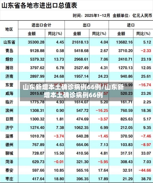山东新增本土确诊病例66例/山东新增本土确诊病例66例