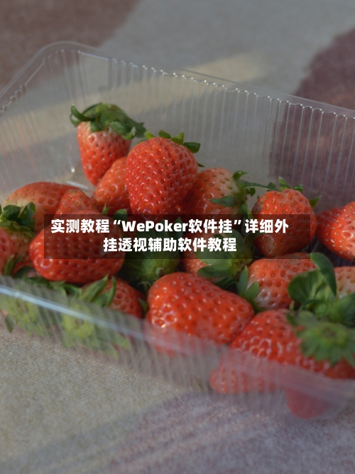 实测教程“WePoker软件挂	”详细外挂透视辅助软件教程-第3张图片