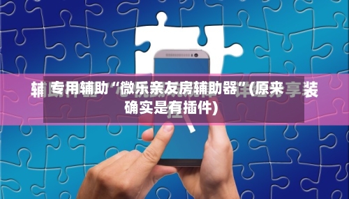 专用辅助“微乐亲友房辅助器”(原来确实是有插件)-第3张图片