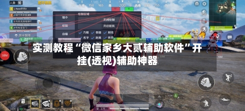 实测教程“微信家乡大贰辅助软件”开挂(透视)辅助神器-第3张图片