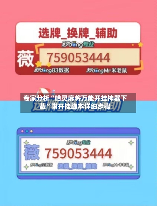 专家分析“哈灵麻将万能开挂神器下载”附开挂脚本详细步骤-第3张图片