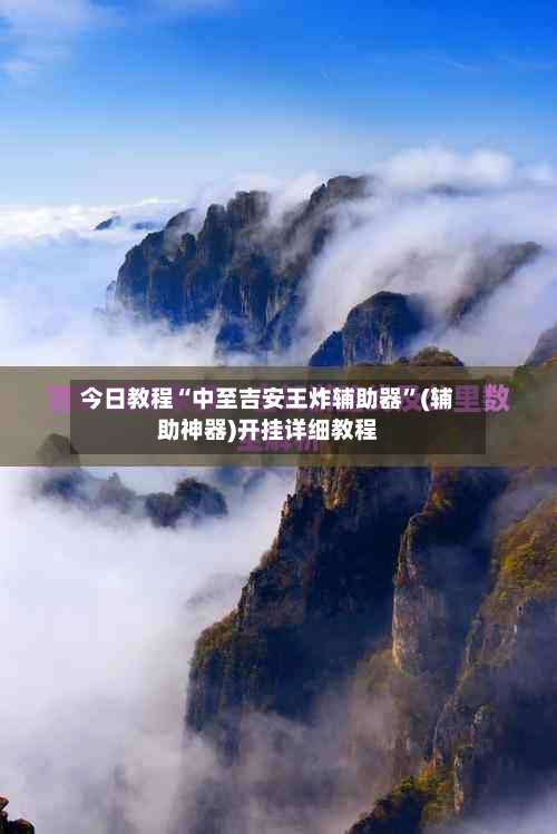 今日教程“中至吉安王炸辅助器”(辅助神器)开挂详细教程-第2张图片