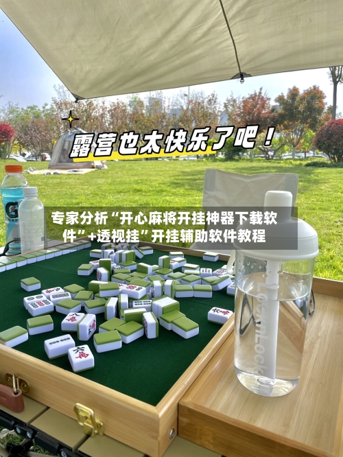 专家分析“开心麻将开挂神器下载软件”+透视挂”开挂辅助软件教程-第2张图片