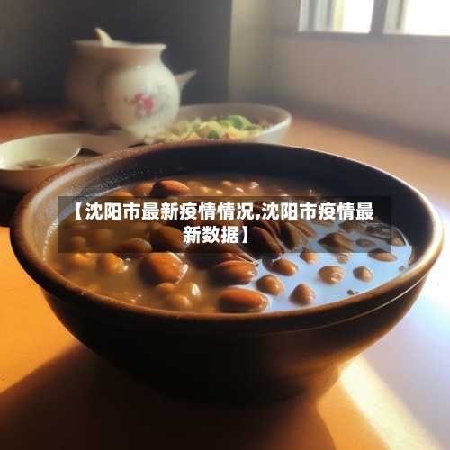 【沈阳市最新疫情情况,沈阳市疫情最新数据】-第2张图片