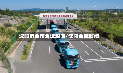 沈阳市全市全域封闭/沈阳全城封闭-第2张图片