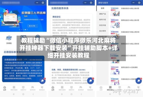 教程辅助“微信小程序微乐河北麻将开挂神器下载安装”开挂辅助脚本+详细开挂安装教程-第3张图片