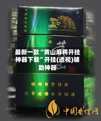 最新一款“黄山麻将开挂神器下载”开挂(透视)辅助神器-第3张图片