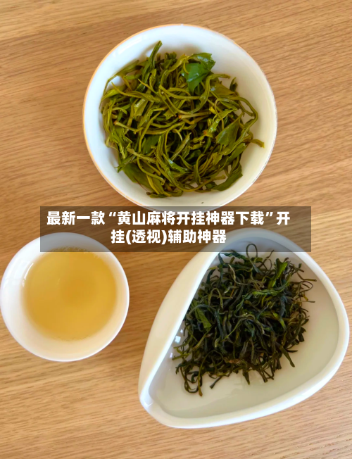 最新一款“黄山麻将开挂神器下载”开挂(透视)辅助神器-第2张图片