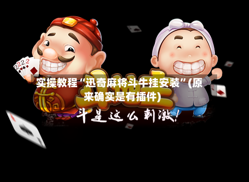 实操教程“迅奇麻将斗牛挂安装”(原来确实是有插件)-第2张图片