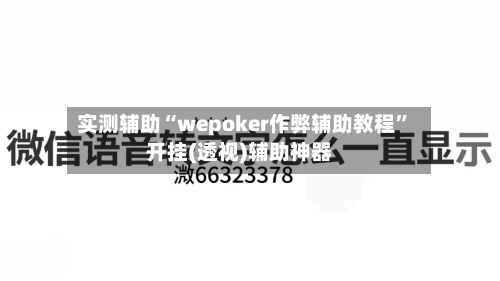 实测辅助“wepoker作弊辅助教程	”开挂(透视)辅助神器-第2张图片