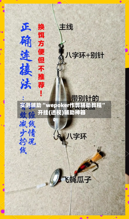 实测辅助“wepoker作弊辅助教程”开挂(透视)辅助神器-第3张图片