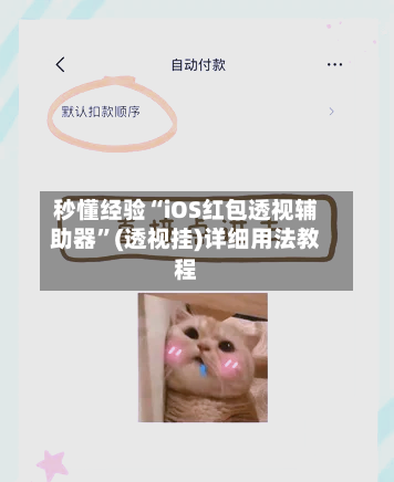 秒懂经验“iOS红包透视辅助器”(透视挂)详细用法教程-第3张图片