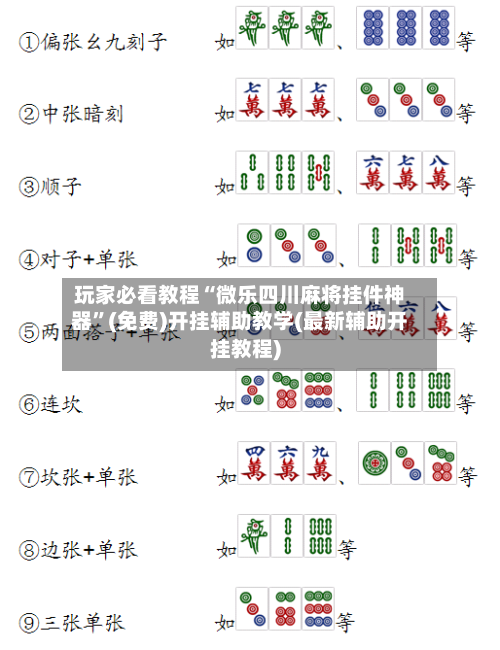 玩家必看教程“微乐四川麻将挂件神器”(免费)开挂辅助教学(最新辅助开挂教程)-第2张图片