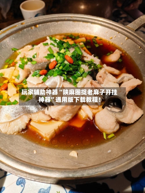 玩家辅助神器“陕麻圈捉老麻子开挂神器”通用版下载教程！-第2张图片