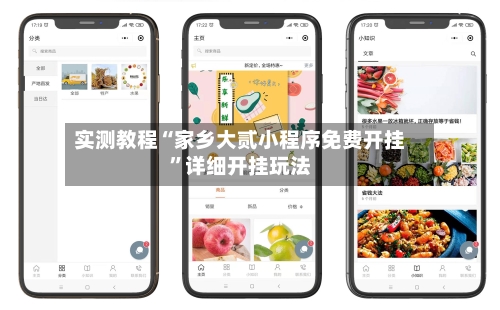 实测教程“家乡大贰小程序免费开挂”详细开挂玩法-第2张图片