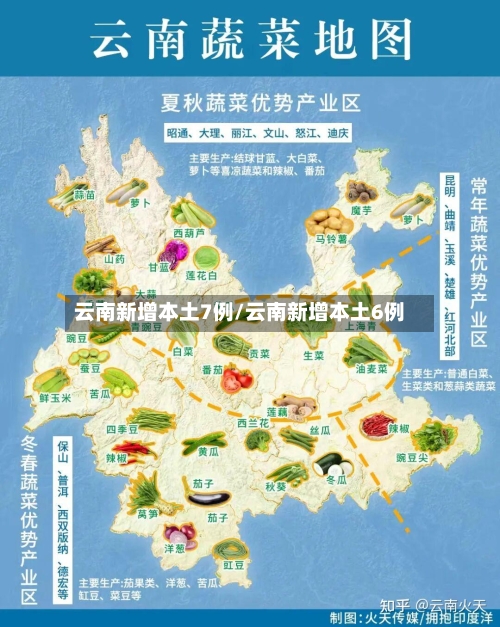 云南新增本土7例/云南新增本土6例