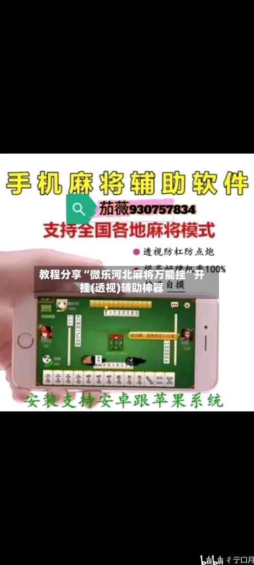 教程分享“微乐河北麻将万能挂”开挂(透视)辅助神器-第2张图片