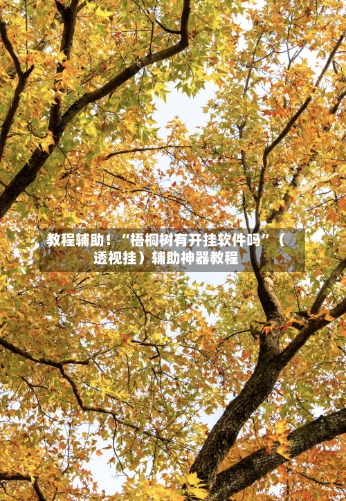 教程辅助！“梧桐树有开挂软件吗”（透视挂）辅助神器教程-第2张图片