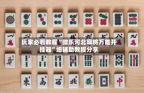 玩家必看教程“微乐河北麻将万能开挂器	”细辅助教程分享-第2张图片