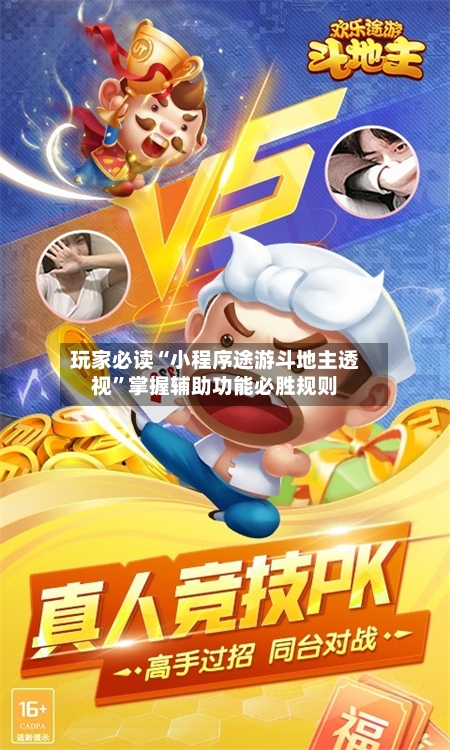 玩家必读“小程序途游斗地主透视”掌握辅助功能必胜规则-第3张图片