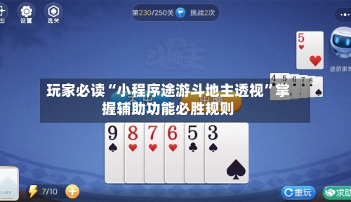 玩家必读“小程序途游斗地主透视	”掌握辅助功能必胜规则-第2张图片