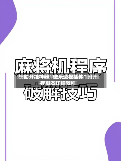 辅助开挂神器“微乐透视插件”附开挂脚本详细教程-第2张图片